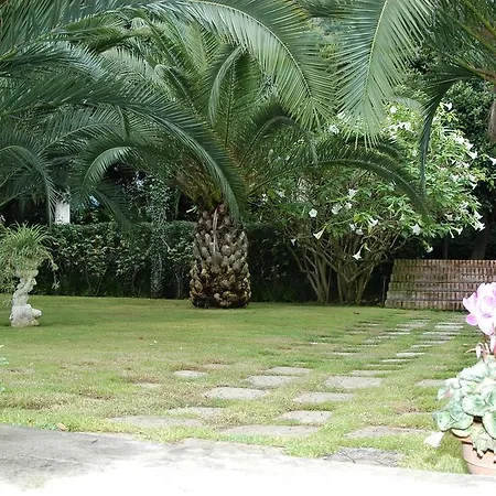 Solaria * Santa Venerina